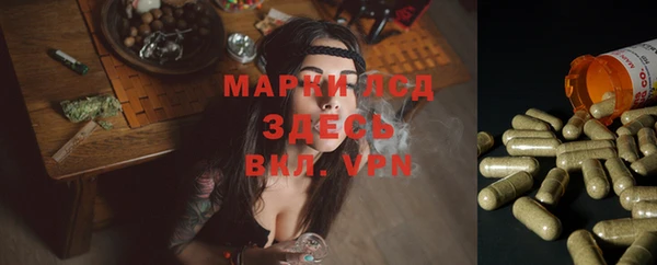 гашик Зеленодольск