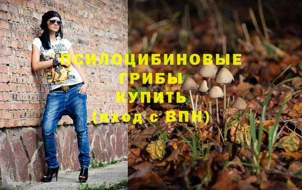 спиды Зеленокумск