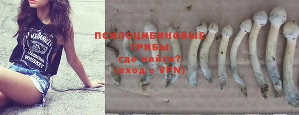спиды Зеленокумск